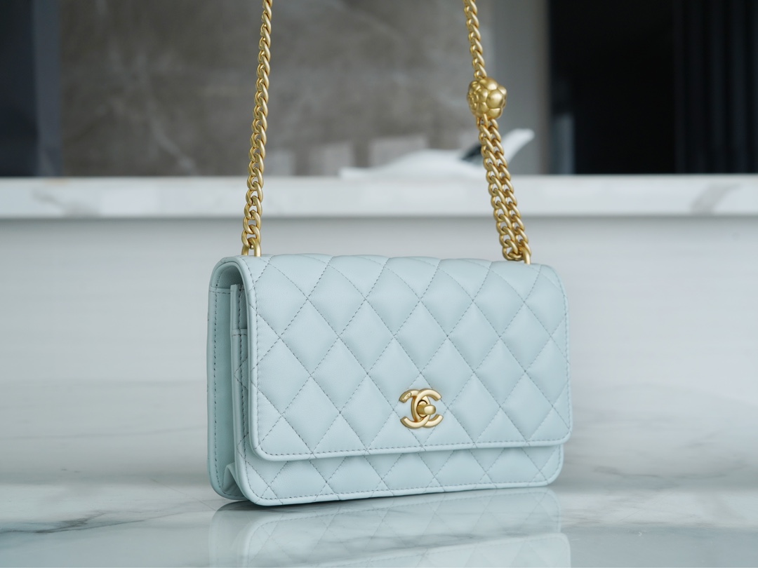 CHANEL 23S Spring/Summer New Camellia WOC Light Blue  