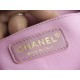 CHANEL 23P Duma Backpack Large Pink Calfskin  