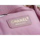 CHANEL 23P New Duma Backpack Mini Pink Calfskin  