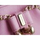 CHANEL 23P New Duma Backpack Mini Pink Calfskin  