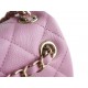 CHANEL 23P New Duma Backpack Mini Pink Calfskin  