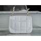 CHANEL 23C Early Spring Resort Series Flap Bag White Lambskin  