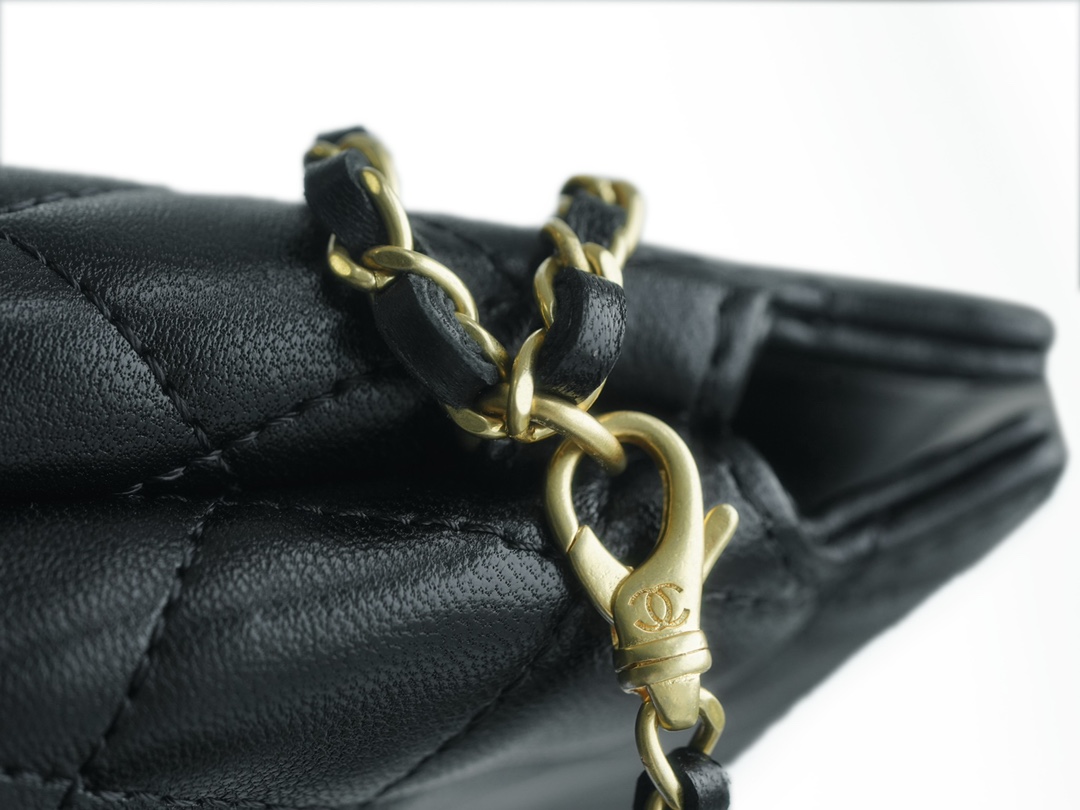 CHANEL 23A Atelier Chain Lion Shoulder Bag  