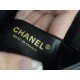 CHANEL 23A Atelier Chain Lion Shoulder Bag  