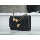 CHANEL 23A Atelier Chain Lion Bag  