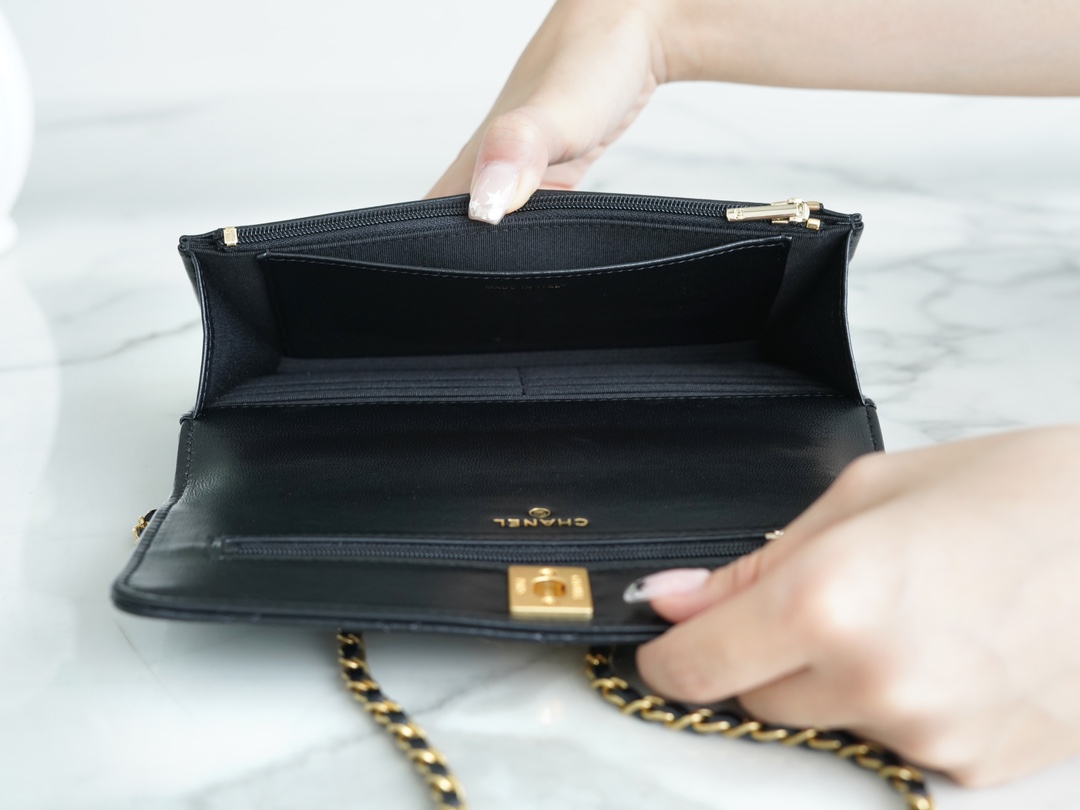 CHANEL 23A Atelier Chain Lion Bag  