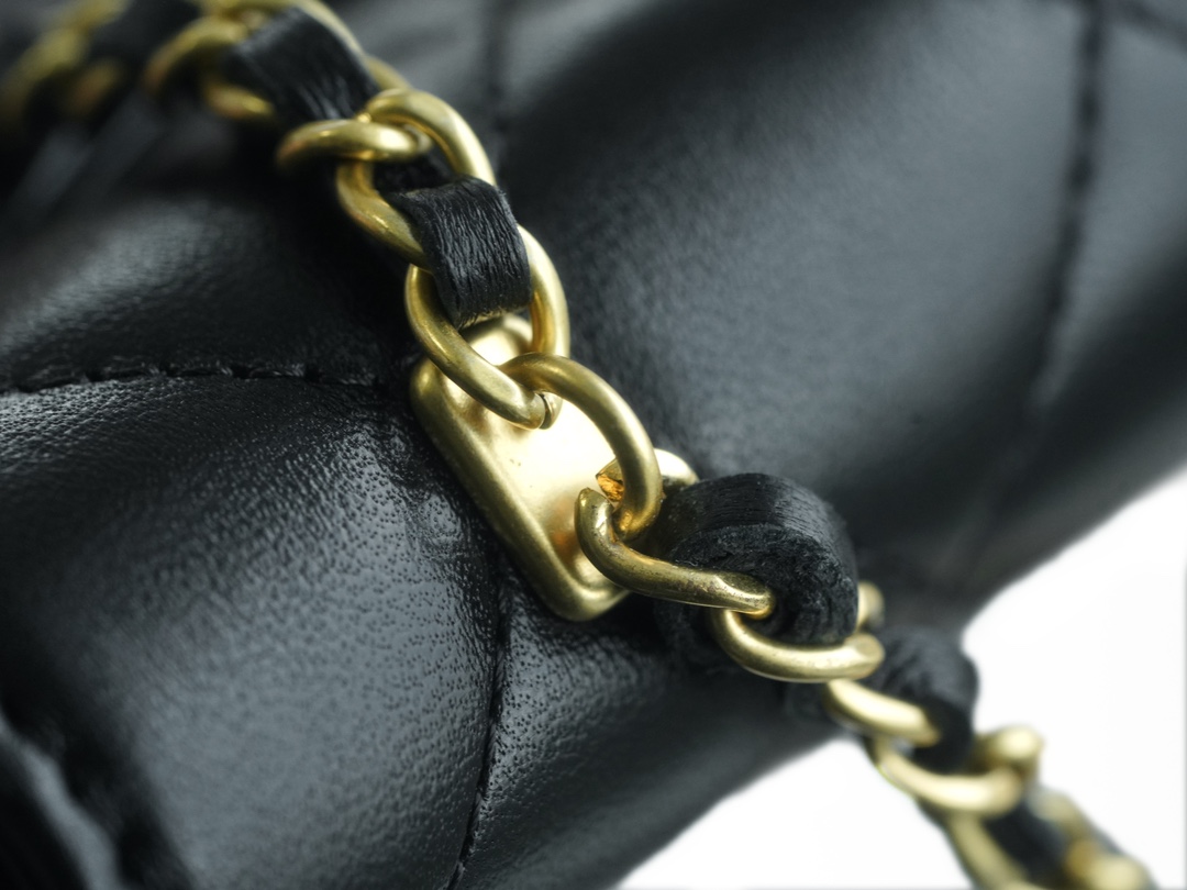 CHANEL 23A Atelier Chain Lion Bag  