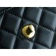 CHANEL 23A Atelier Chain Lion Bag  