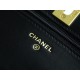 CHANEL 23A Atelier Chain Lion Bag  