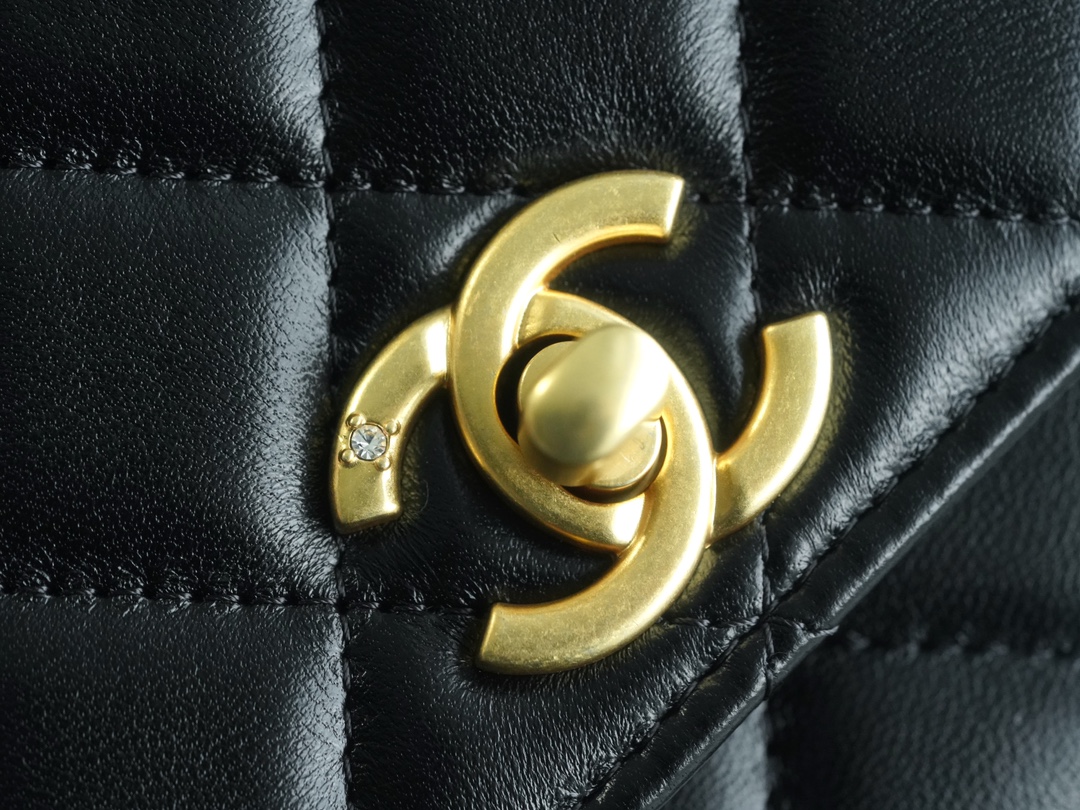 CHANEL 23A Atelier Chain Lion Bag  