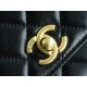 CHANEL 23A Atelier Chain Lion Bag  