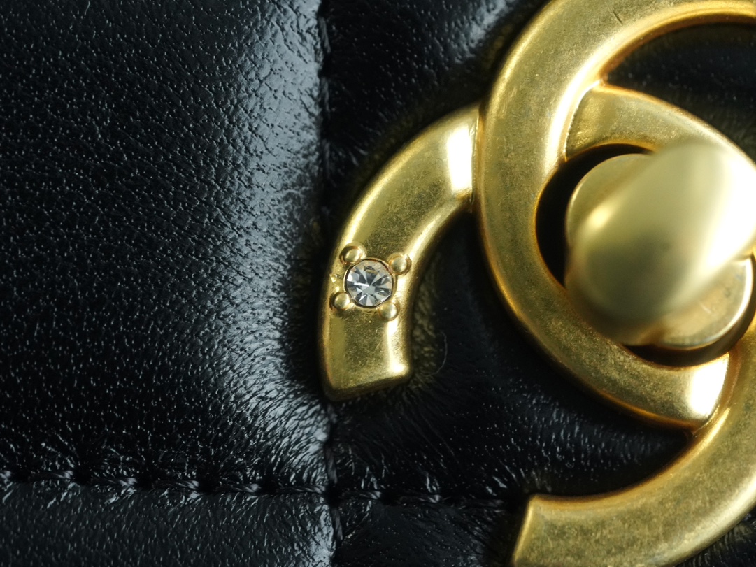 CHANEL 23A Atelier Chain Lion Bag  