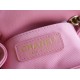 CHANEL 23P New Duma Backpack Pink Calfskin  