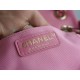 CHANEL 23A Duma Backpack Large Pink Glossy Calfskin  