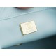 CHANEL 23S Spring/Summer New Camellia CF Flap Bag Light Blue  