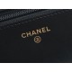 CHANEL 22P Spring/Summer New Handle WOC  