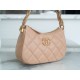 Chanel 23K 19 Hobo Bag, Large, Milk Tea, Vintage Crinkled Calfskin  