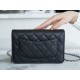 Chanel WOC Money Bag (Magnetic Closure), Black and Silver, Caviar Calfskin  