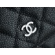 Chanel Entry Classic WOC (Magnetic Closure), Black Silver, Caviar Calfskin  