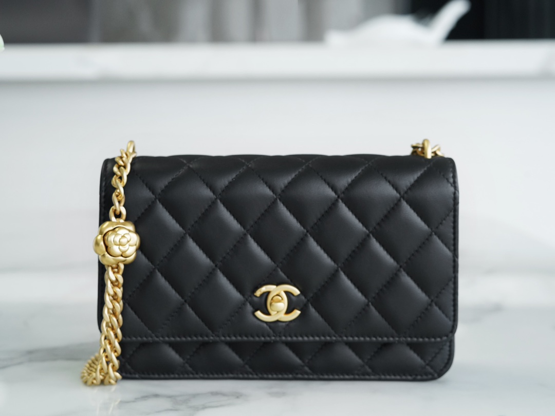 CHANEL 23S Spring/Summer New Camellia WOC, Black  