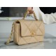 Chanel 2020 Fall/Winter New 19 Bag, Apricot, Small Size  