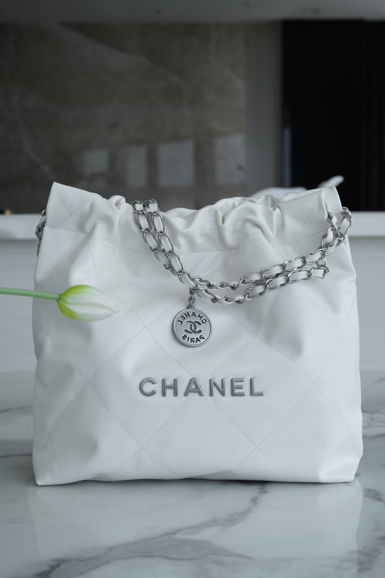 Chanel 22P Handbag, Small Size, White with Silver Hardware  