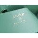 Chanel 24S Horizontal 31 Bag Nano, Mint Green, Oil Waxed Lambskin  