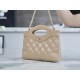 Chanel 24S Horizontal 31 Bag Nano, Milk Tea Almond, Oil Waxed Lambskin  