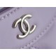 Chanel 24S Horizontal 31 Bag Nano, Pink Purple, Oil Waxed Lambskin  