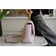 CHANEL 19 Bag 20/21 Spring/Summer New Color Sakura Pink Medium  