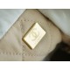 Chanel 23S 22 Mini Bag Platinum Calfskin  