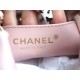 Chanel 23S 22 Mini Bag Pink Calfskin  