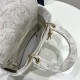 Lady Dior Embroidered Limited Edition Series: Gold Magpie Floral, Size: 24*11*20cm  