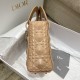 Lady Dior: 4-grid Nude Matte Diamond Lattice, New Diamond Pattern, Embossed Cowhide, Matte Hardware, Size: 20cm  