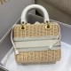 Bamboo Weave Bag, Classic Oblique Canvas Inner Bag, Size: 24*12*20cm  