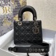 Lady Gunmetal Hardware Series, Size: 20cm  