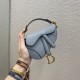 Saddle Bag Micro Series, Goat Leather, Size: 12*7.5*5cm  