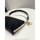 Club Handbag Series, Sheepskin Leather, Size: 27*5*12cm