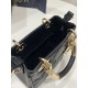 Black, LADY95-22 Mini Series, Lamb Leather, Size: 19*8*13cm  