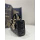 Black Small Size, D-joy Series, Bag with Two Shoulder Straps, Sheepskin, Size: 22*6*12cm  