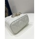 White Small Size, D-joy Series, Bag with Two Shoulder Straps, Sheepskin, Size: 22*6*12cm  