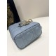 Haze Blue Small Size, D-joy Series, Bag with Two Shoulder Straps, Sheepskin, Size: 22*6*12cm  