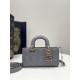 Dreamy Grey Small Size, D-joy Series, Bag with Two Shoulder Straps, Sheepskin, Size: 22*6*12cm  