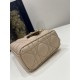 Caramel Rice Small Size, D-joy Series, Bag with Two Shoulder Straps, Sheepskin, Size: 22*6*12cm  