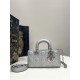 Fantasy Silver Small Size, D-joy Series, Bag with Two Shoulder Straps, Sheepskin, Size: 22*6*12cm  