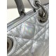 Fantasy Silver Small Size, D-joy Series, Bag with Two Shoulder Straps, Sheepskin, Size: 22*6*12cm  