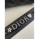 Lady Dior Four-Compartment Series, Letter Shoulder Strap, 6 Letters Included, Sheepskin, Size: 20*8*17cm