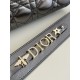 Lady Dior Four-Compartment Series, Letter Shoulder Strap, 6 Letters Included, Sheepskin, Size: 20*8*17cm