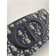 Signature Mini Chain Bag, Blue Oblique Monogram Fabric, Size: 21*5*11cm  