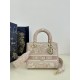 Lady Dior Tiger Embroidery Series, Size: 24cm  